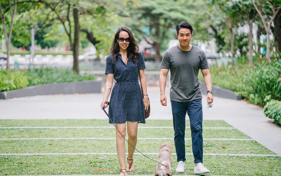 Ways To Increase Rent With Amenities / Storage / Pets